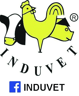 Induvet