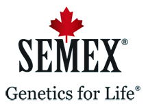 Semex